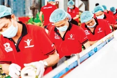 Предварительная обработка кокосов для экспорта на предприятии Vina T&T Group. Фото: nhandan.vn.