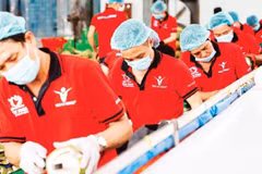 Предварительная обработка кокосов для экспорта на предприятии Vina T&T Group. Фото: nhandan.vn.