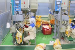 Упаковка экспортного риса на заводе компании Тхао Шон, входящей в состав Акционерной корпорации Лок Чой. Фото: ВИА.