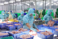 Экспорт морепродуктов продолжает демонстрировать устойчивый рост. (Фото: ВИА)