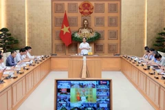 Заместитель Премьер-министра Буй Тхань Шон выступает. Фото: ВИА.