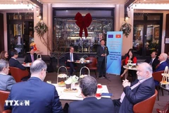 Общий вид встречи заместителя Премьер-министра Чан Хонг Ха с послами, временными поверенными в делах Европейского союза и государств-членов. Фото: ВИА.