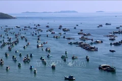 Рыболовные суда рыбаков в акватории Антхой города Фукуок (провинция Кьенгянг). Фото: ВИА.