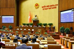 Одобрено инвестиционное решение о строительстве международного аэропорта Зя Бинь. Фото: ВИА.