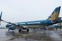 Самолёт авиакомпании Vietnam Airlines в аэропорту Нойбай. (Фото: Vietnam+)