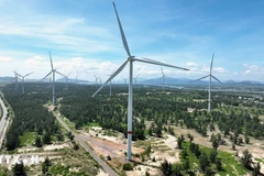 Иллюстративное фото. Фото: ВИА.