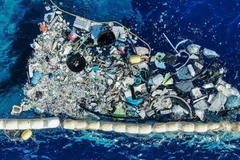 Загрязнение моря пластиковыми отходами становится всё более серьёзной проблемой. (Фото: Wired)