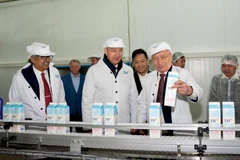 Председатель Совета директоров TH и губернатор Калужской области посетили производственную линию завода. (Фото: Vietnam+)