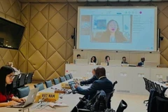 Делегация Вьетнама приняла участие в заседании. (Фото: ВИА)