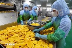 Переработка сельскохозяйственной продукции на экспорт. Фото: ВИА.