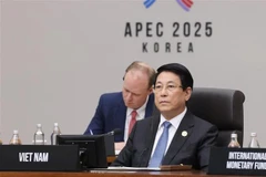 Президент Лыонг Кыонг на втором заседании 32-го Саммита АТЭС. Фото: ВИА.