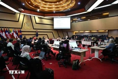 13-е заседание Совместного комитета АСЕАН — Новая Зеландия. (Фото: ВИА)