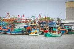 Сотрудники компетентных органов прибывают на каждое рыболовное судно, проводя разъяснительную работу для повышения осведомлённости рыбацкого сообщества о мерах по снятию «жёлтой карточки» ННН-промысла. Источник: ВИА.
