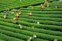 Иллюстративное фото. Фото: ВИА.