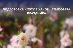 В последние дни года жители Ханоя устремляются на улицы Ханглыок и Хангма, чтобы выбрать для своей семьи самые красивые деревца кумквата, ветви персика и праздничные украшения. Фото: ВИА.