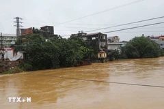 Уровень воды в реке Кау поднялся. Фото: ВИА.