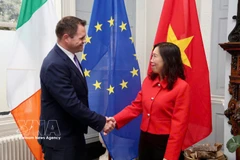 Заместитель министра иностранных дел Ле Тхи Тху Ханг и государственный министр Министерства иностранных дел и торговли Ирландии Неале Ричмонд сопредседательствовали на политических консультациях на уровне заместителей министров иностранных дел Вьетнама и Ирландии. Фото: ВИА.