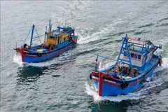 Рыболовные суда рыболовов провинции Ниньтхуан выходят в открытое море для добычи морепродуктов. Фото: ВИА.