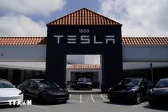 Один из автосалонов Tesla. (Фото: ВИА)