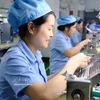 Производственная деятельность на ООО промышленности Fancy (китайский капитал) в промышленной зоне Фо Ной А, Ванлам. (Фото: ВИА)