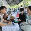 Консультационная и рекрутинговая деятельность на ярмарке вакансий в городе Хошимин. (Фото: ВИА)