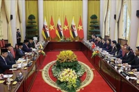 Президент Лыонг Кыонг проводит переговоры с Султаном Брунея-Даруссалама Хаджи Хассаналом Болкиахом. (Фото: ВИА)