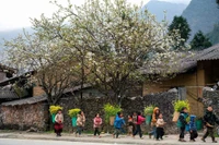 Жизнь жителей Каменного плоскогорья Донгван. (Фото: ВИА))