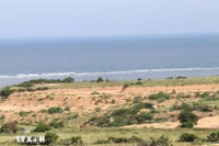 Место, выбранное для строительства атомной электростанции «Ниньтхуан-1», в общине Фыокдинь. (Фото: ВИА).