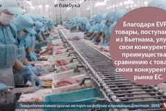 Выдано более 7.200 сертификатов по перевозке товара EUR.1