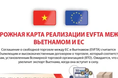 План реализации EVFTA между Вьетнамом и Европейским Союзом