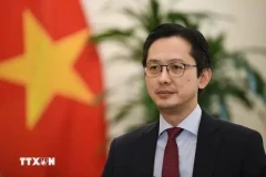 Заместитель министра иностранных дел До Хунг Вьет. (Фото: ВИA)