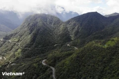 Определение потенциала для сокращения выбросов парниковых газов (Фото: Vietnam+)