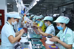 Работники японской компании Foster Electronics Limited в Бакнине (Источник: ВИА)
