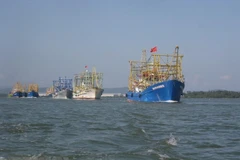 Рыболовецские судна на море. (Источник фото: ВИА)