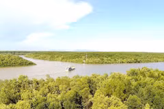 Знаменитый мангровый биосферный заповедник Канжо. (Фото: ВИА)