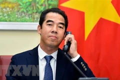 Заместитель министра иностранных дел То Ань Зунг (Фото: ВИА)