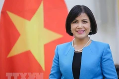 Посол Ле Тхи Тует Май, глава делегации Вьетнама при ООН, ВТО и других международных организациях в Женеве. (Фото: То Уен/ВИА)