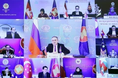 Заместитель министра иностранных дел Российской Федерации Игорь Моргулов выступает на встрече министров иностранных дел России и АСЕАН в онлайн-формате. (Фото: ВИA)