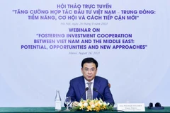 Заместитель министра иностранных дел Вьетнама Фам Куанг Хиеу выступает на заседании. (Фото: baoquocte.vn)