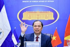 Заместитель министра иностранных дел Нгуен Куок Зунг на политических консультациях. (Фото: ВИА)