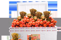 (Фото: Vietjet)