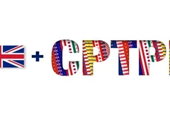 Вьетнам готов поделиться информацией о CPTPP, опытом с Великобританией (Источник: Kepdowrie.com)