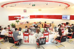HDBank раскрывает план по привлечению капитала и покупке акций компании в секторе ценных бумаг с целью превращения ее в дочернюю компанию HDBank. (Фото: ВИА) 