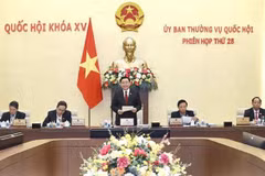 Председатель НС Выонг Динь Хюэ выступает на заседании (Фото: ВИA)