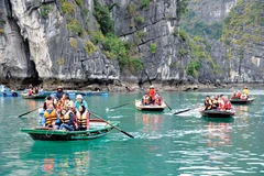 Туристы посещают залив Халонг на лодках. (Фото: congthuong.vn)