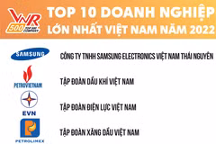 Рейтинг VNR500, составленный Vietnam Report. (Источник: Vietnam Report)
