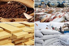 Экспорт сельскохозяйственной, лесной и рыбной продукции Вьетнама достигнет рекордного положительного сальдо торгового баланса в 12,07 миллиарда долларов США в 2023 году. (Фото: vneconomy.vn) 