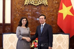 Президент Во Ван Тхыонг принял посла Болгарии во Вьетнаме Маринелу Петкову в связи с окончанием ее рабочего срока во Вьетнаме (Ханой, 9 июня 2023 г.). (Фото: Тхонг Нят/ВИА)