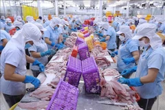 Обработка пангасиуса и рыбы баса на предприятии Navico Nam Viet Company (NAVICO) в городе Лонгсуйен, Анжанг. (Фото: ВИA)