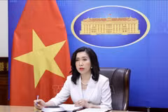 Официальный представитель МИДа Ле Тхи Тху Ханг. (Фото: ВИА)